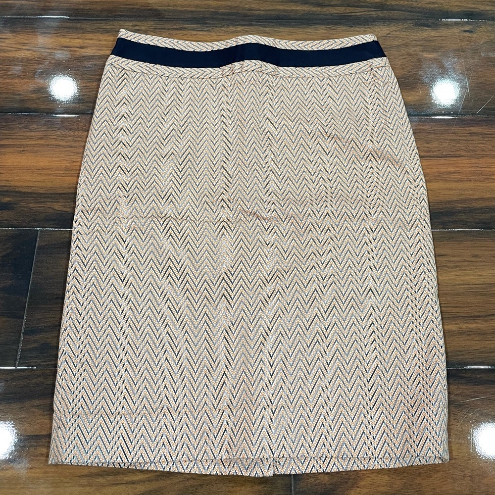 The Limited Skirt